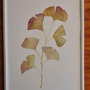 Estudio de Ginko