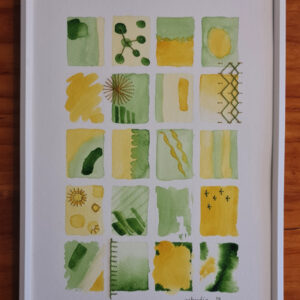 Estudio Verde Amarillo