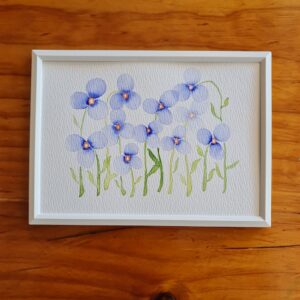 Flores azules